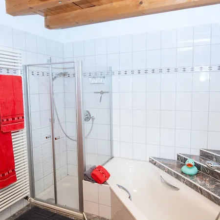 Birgit Apartment Schonach im Schwarzwald