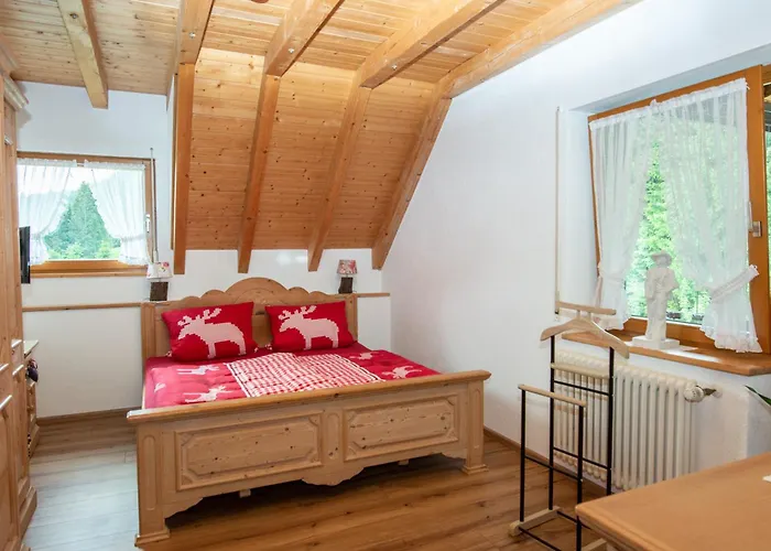 公寓 Birgit Schonach im Schwarzwald